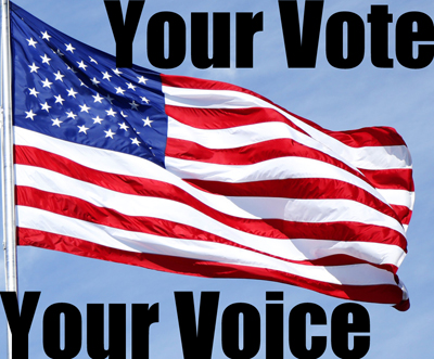 your vote, your voice