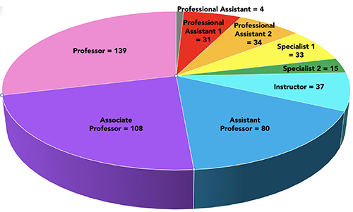 faculty demographics