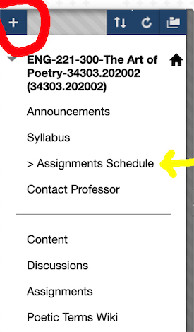Faculty can pull out and link to just their assignments schedule in the course menu.