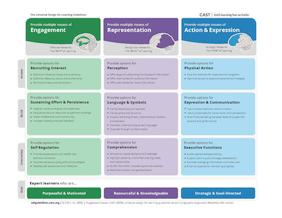 Universal Design for Learning guidelines chart